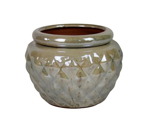 Chậu gốm tráng men tự tưới 6,5 inch cho cây 16,5x12,5cm