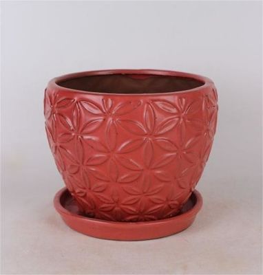 Chậu gốm trong nhà trong nhà 6 inch và 8 inch với đĩa tráng men