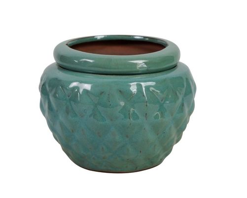 Chậu gốm tráng men tự tưới 6,5 inch cho cây 16,5x12,5cm