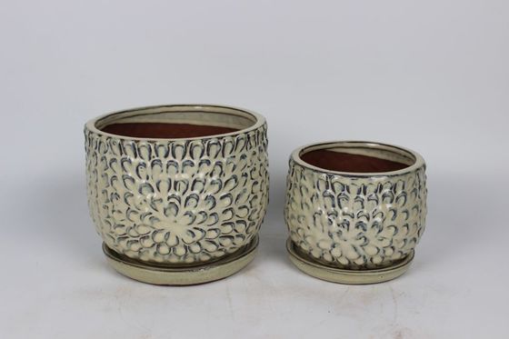 Chậu Gốm Trong Nhà Cho Cây Trong Nhà 6 Inch Và 8 Inch