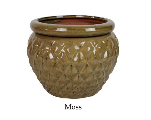 Chậu gốm tráng men tự tưới 6,5 inch cho cây 16,5x12,5cm