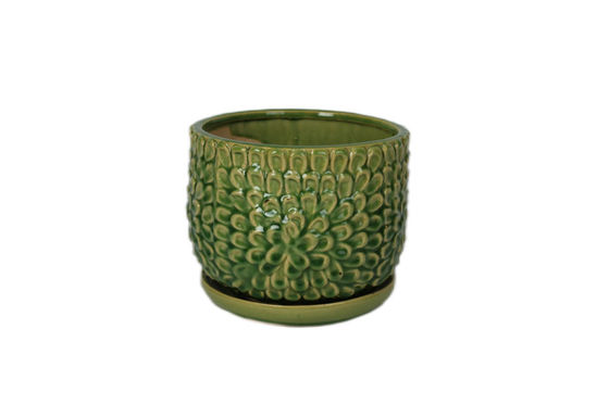 Chậu Gốm Trong Nhà Cho Cây Trong Nhà 6 Inch Và 8 Inch