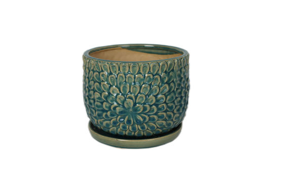 Chậu Gốm Trong Nhà Cho Cây Trong Nhà 6 Inch Và 8 Inch